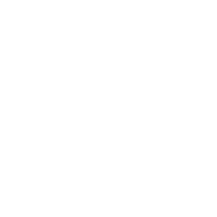 DeLorean BTTF2