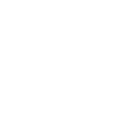 DeLorean DMC-12 [Back to the Future II]