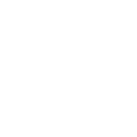 Wario's Battle Space Ship!