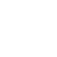 bullet bill