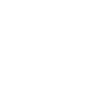 smallest ship