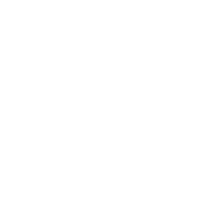 the virus