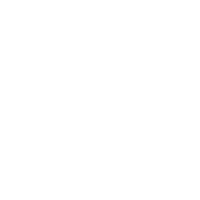 f22 falcon