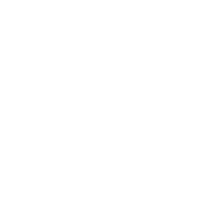 X Fighter Ship