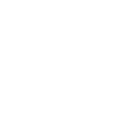 elder wand