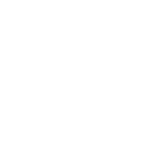 dragon toxic