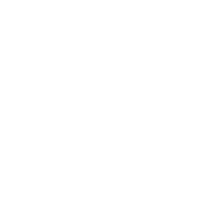 Baby Rhino