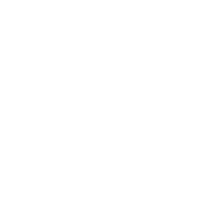 Tiny Rhino