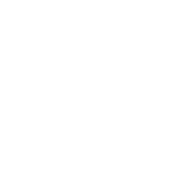 The Third German Reich