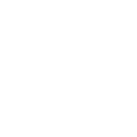The Needle