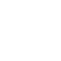 Paper Airplane