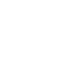 Paper Airplane