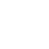 swag penguin