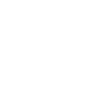 the arrow head