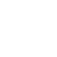 11?????????????????????????????????