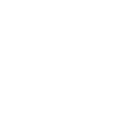 FastNEfficient Web Dominance