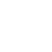 THE BAT  