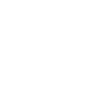 noah's ark for killing animals