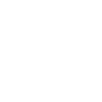 Dominator Micro Triwing