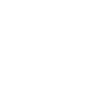 The Phoenix
