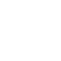 Kevin the demented guinea pig