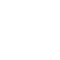 Roarrr! Im a dinosaur!