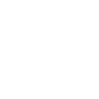 Vicious Class Destroyer