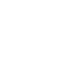 the flying shot spear