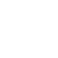 Shit Flipper v696969696969