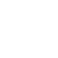 toothlesses tail wing