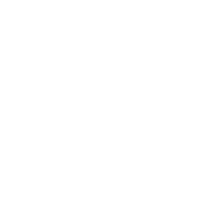ninja star