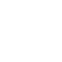 x ish thingie idk