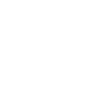 Where did those cannons come from