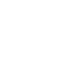 Hand Pistol