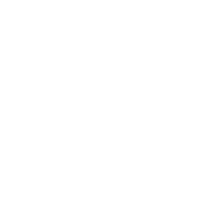 Level 1 tank diep.io