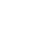 Diep.io Lvl45 Fighter