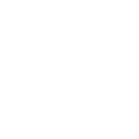 F-117 Nighthawk Mini