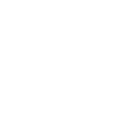 Smallest F-117 Nighthawk