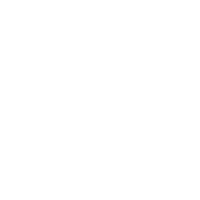 PEW PEW GUNS