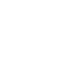 nazi