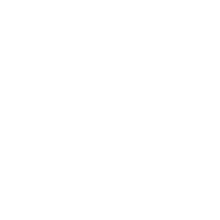 ninja star