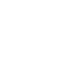 The Assesin Boomerang