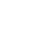 YvsV