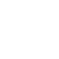 D100 Galactic Fighter