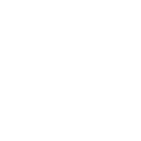 twig f1
