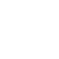 turtles to destroy the world