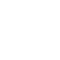 Needle