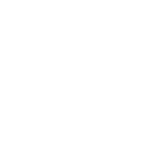 Gun
