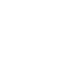 Falcon Laser Reverse Edition 