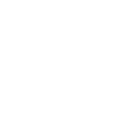 Palm Tree